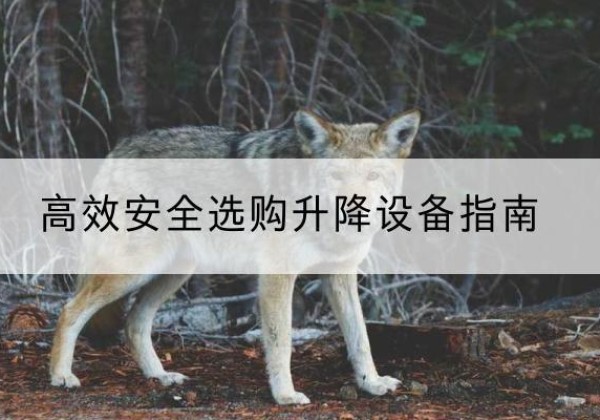 船山升降货梯厂家推荐-*安全选购升降设备指南