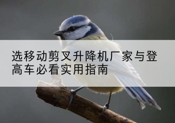 船山电动升降机厂家-选移动剪叉升降机厂家与登高车必看实用指南