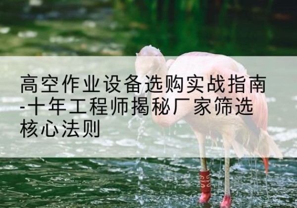 船山剪叉式升降机厂家-高空作业设备选购实战指南-十年工程师揭秘厂家筛选核心法则
